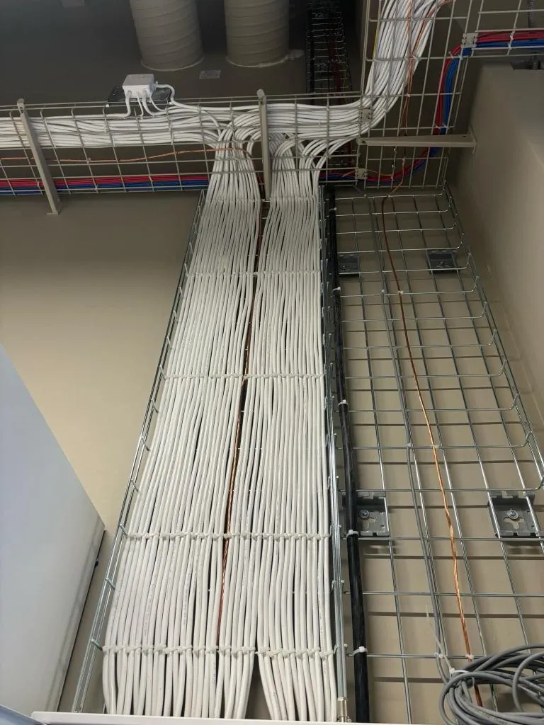 Cables laid in a cable tray