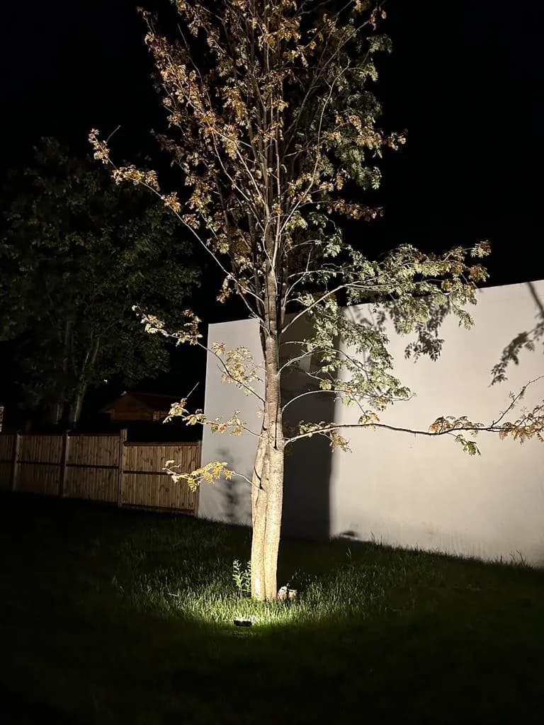 Garden light shining up into a tree